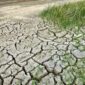 18 Kabupaten dan Kota di Jawa Timur, NTT dan NTB Alami Kekeringan. (Pixabay.com/JodyDellDavis)