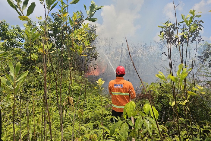 Tim gabungan melakukan penyemprotan air untuk memadamkan api di lokasi kebakaran lahan di Kabupaten Penajam Paser Utara, Provinsi Kalimantan Timur. (Dok. BPBD Kabupaten Penajam Paser Utara)
