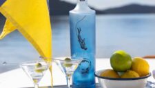 Foto : Mother of Pearl Vodka. (Doc.Ist)